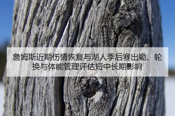 zhan-mu-si-jin-qi-shang-qing-hui-fu-yu-hu-ren-ji-hou-sai-chu-qin-lun-huan-yu-ti-neng-guan-li-ping-gu-duan-zhong-chang-2-868.jpg