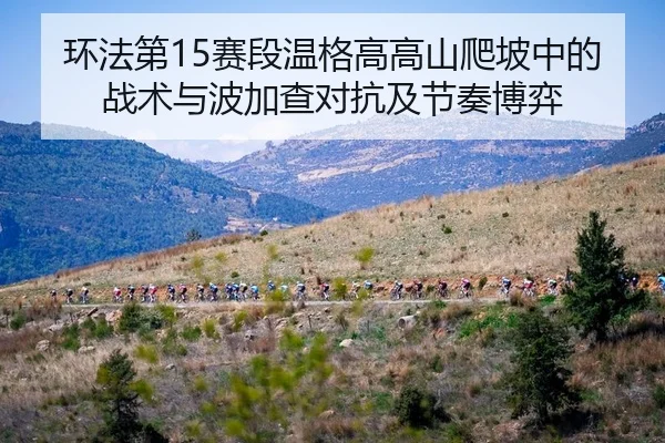 huan-fa-di-sai-duan-wen-ge-gao-gao-shan-pa-po-zhong-de-zhan-shu-yu-bo-jia-cha-dui-kang-ji-jie-zou-bo-yi-3-358.jpg